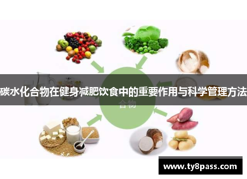 碳水化合物在健身减肥饮食中的重要作用与科学管理方法